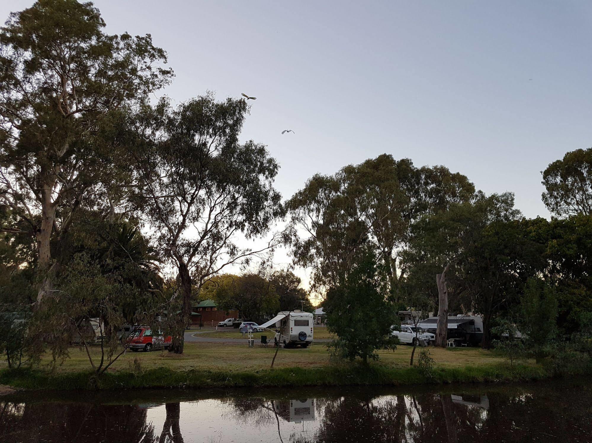 Hotel Euroa Caravan Park Extérieur photo